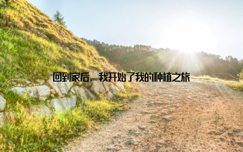 回到家后, 我开始了我的种植之旅