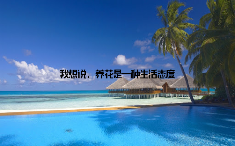 我想说, 养花是一种生活态度