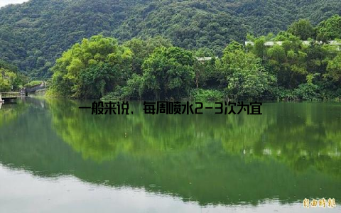 一般来说, 每周喷水2-3次为宜
