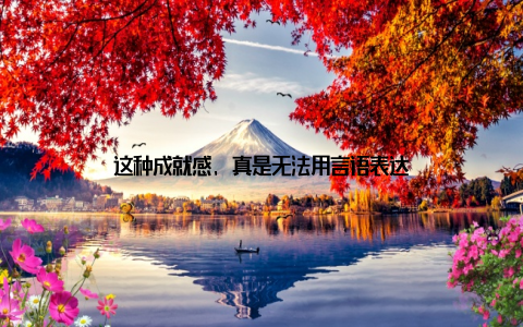 这种成就感, 真是无法用言语表达
