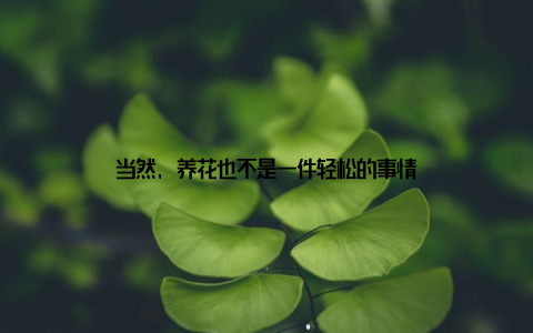 当然, 养花也不是一件轻松的事情