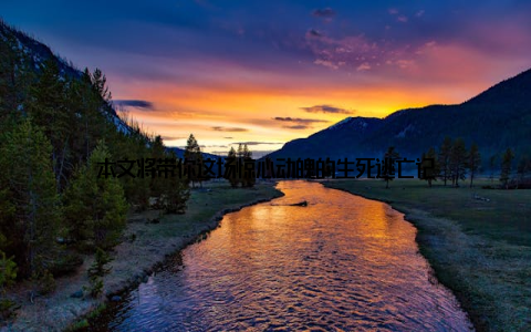 本文将带你这场惊心动魄的生死逃亡记