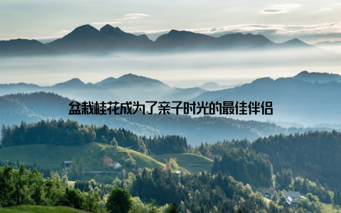 盆栽桂花成为了亲子时光的最佳伴侣