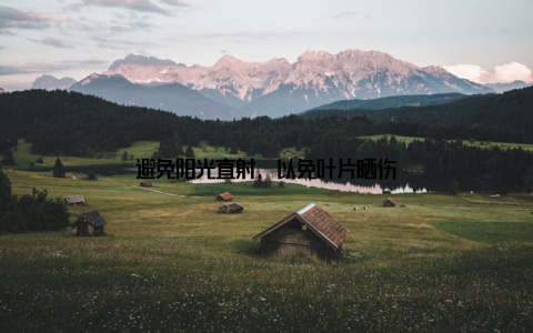 避免阳光直射, 以免叶片晒伤