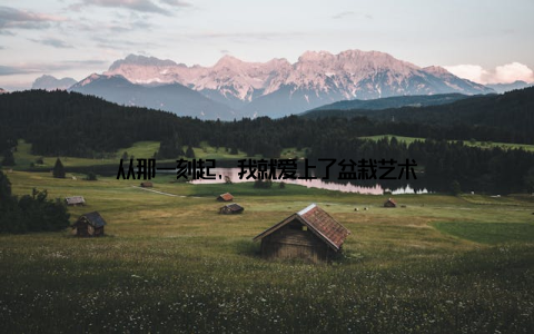 从那一刻起, 我就爱上了盆栽艺术