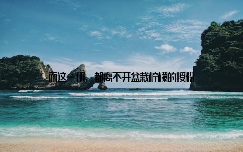 而这一切, 都离不开盆栽柠檬的授粉