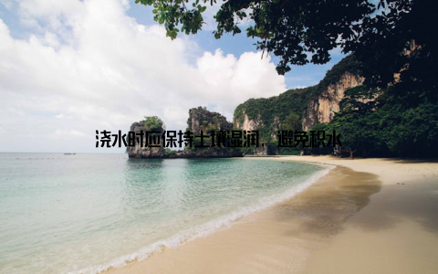 浇水时应保持土壤湿润, 避免积水