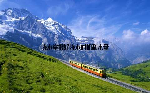 浇水掌握好浇水时机和水量