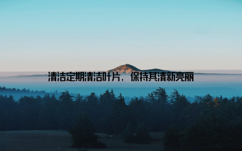 清洁定期清洁叶片, 保持其清新亮丽
