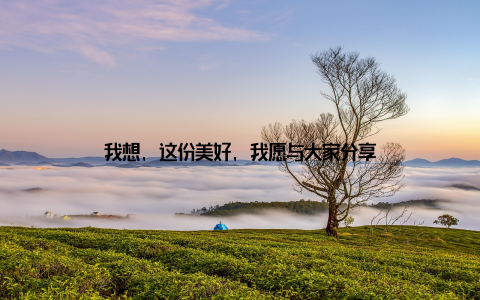 我想, 这份美好, 我愿与大家分享