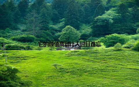 它的颜值高到让人过目难忘