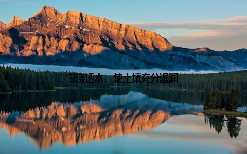 3浇透水, 使土壤充分湿润