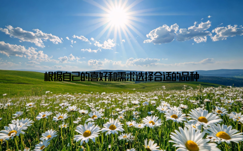 根据自己的喜好和需求选择合适的品种