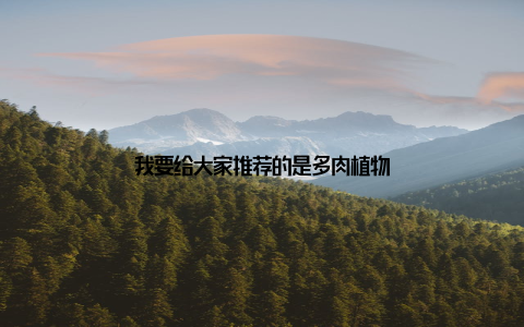 我要给大家推荐的是多肉植物