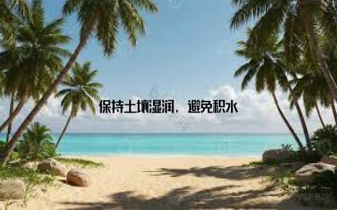 保持土壤湿润, 避免积水