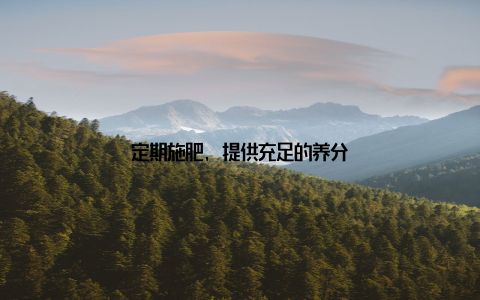 定期施肥, 提供充足的养分