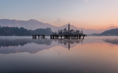 接下来, 就是土壤的选择了