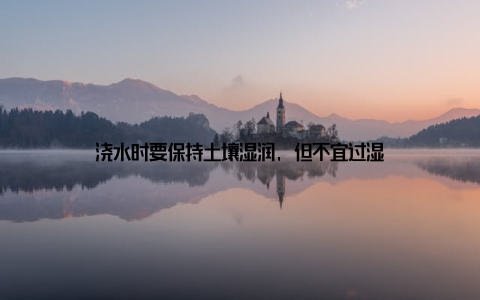浇水时要保持土壤湿润, 但不宜过湿