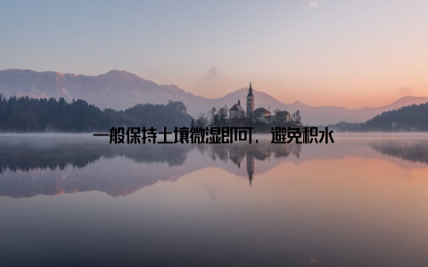 一般保持土壤微湿即可, 避免积水