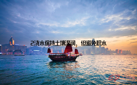 2浇水保持土壤湿润, 但避免积水