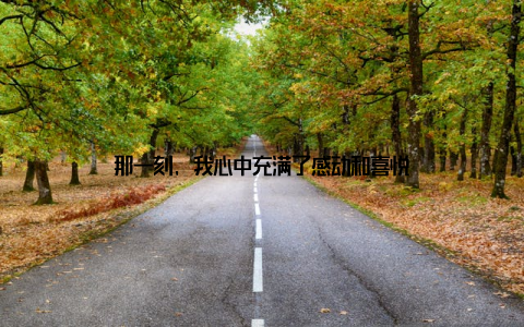 那一刻, 我心中充满了感动和喜悦