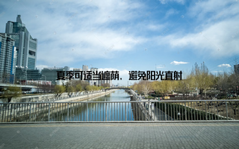 夏季可适当遮荫, 避免阳光直射