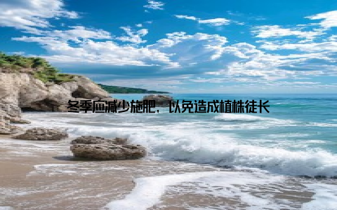 冬季应减少施肥, 以免造成植株徒长