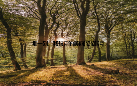 那一刻, 我被它的美丽深深吸引