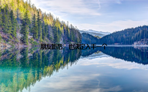 朋友听后, 也决定入手一个