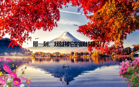 那一刻, 我就被它的模样吸引了