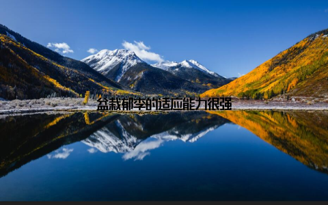 盆栽郁李的适应能力很强