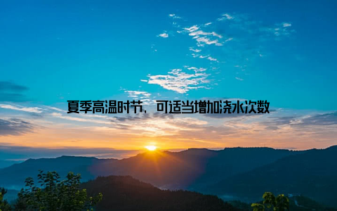 夏季高温时节, 可适当增加浇水次数