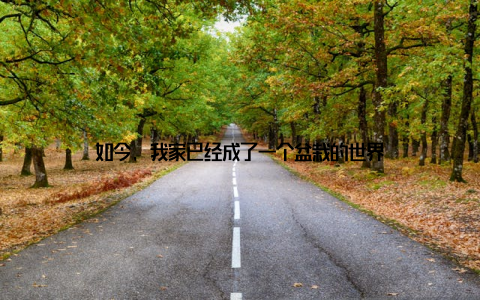 如今, 我家已经成了一个盆栽的世界