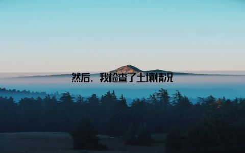 然后, 我检查了土壤情况