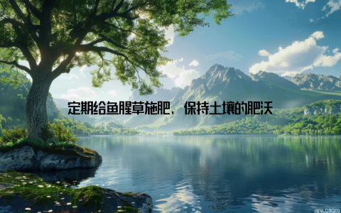 定期给鱼腥草施肥, 保持土壤的肥沃