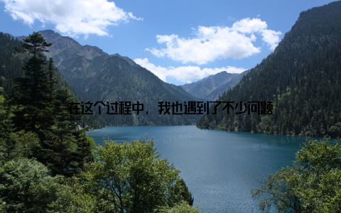 在这个过程中, 我也遇到了不少问题