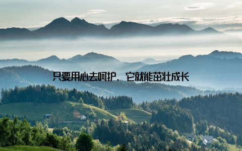 只要用心去呵护, 它就能茁壮成长