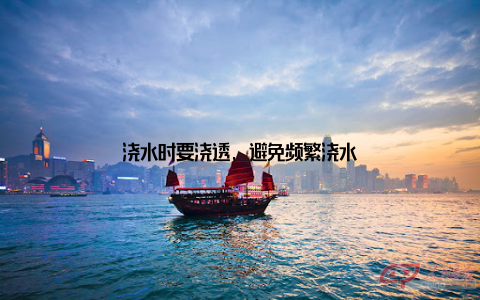 浇水时要浇透, 避免频繁浇水