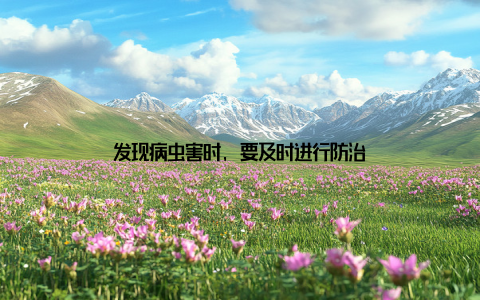 发现病虫害时, 要及时进行防治