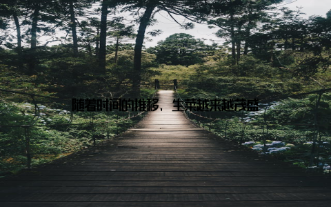 随着时间的推移, 生菜越来越茂盛
