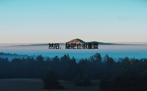 然后, 施肥也很重要