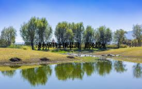 浇水保持土壤湿润, 避免积水