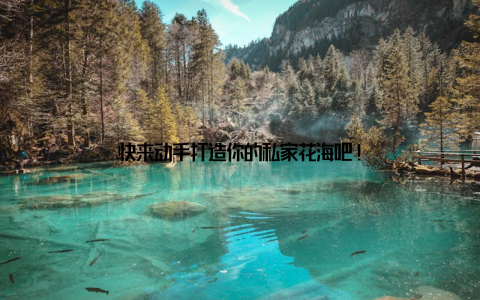 快来动手打造你的私家花海吧!