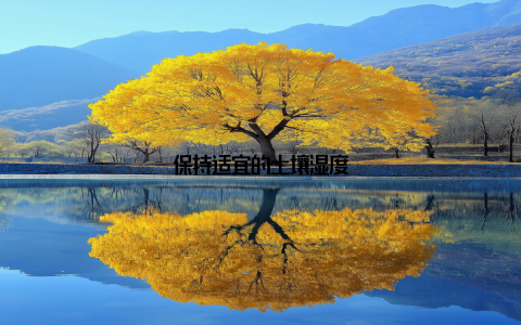 保持适宜的土壤湿度