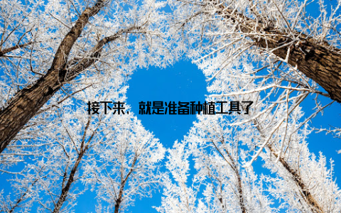 接下来, 就是准备种植工具了