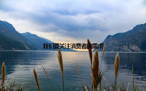 我们要关注消费者的需求