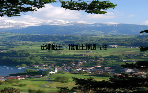 定期松土, 增加土壤透气性