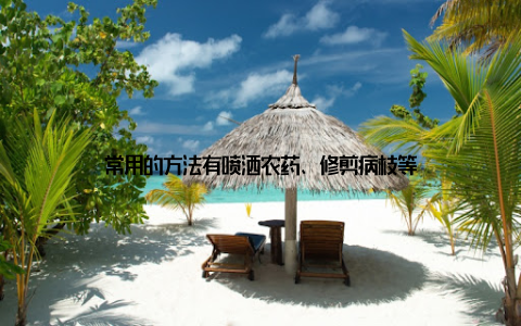 常用的方法有喷洒农药、修剪病枝等