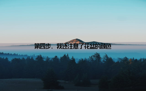 第四步, 我还注意了花盆的颜色
