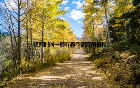 修剪时间一般在春季萌芽前进行